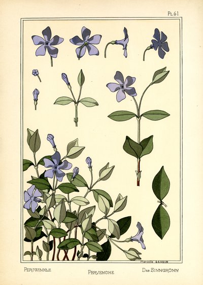 نكة بواسطة مارسيل جودين